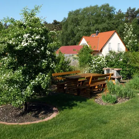 Auszeit Zu Zweit - Usedom Ferienwohnungen Tannengrund Apartment
