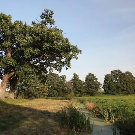 דירה Auszeit Zu Zweit - Usedom Tannengrund *