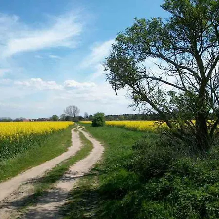 Ruhige Auszeit Zu Zweit - Radfahrer & Strandliebhaber I Usedom Tannengrund *